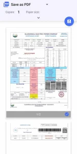 Print your electricity bill