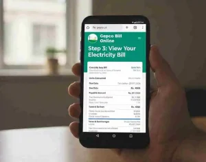 View your electricity bill